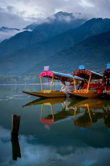 kashmir