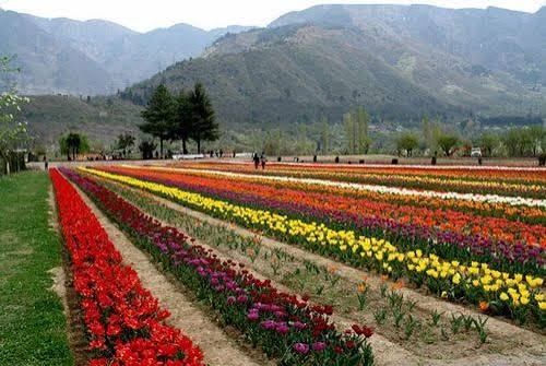 kashmir - Photo 2