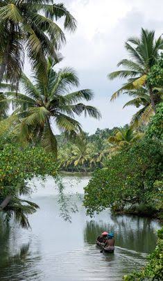 kerala - Photo 2