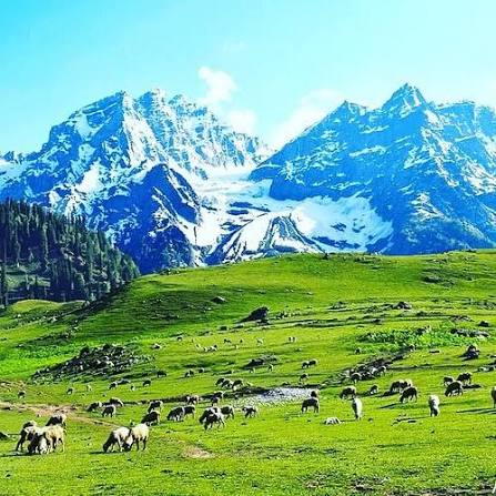 kashmir - Photo 3