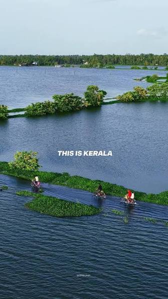 kerala - Photo 3